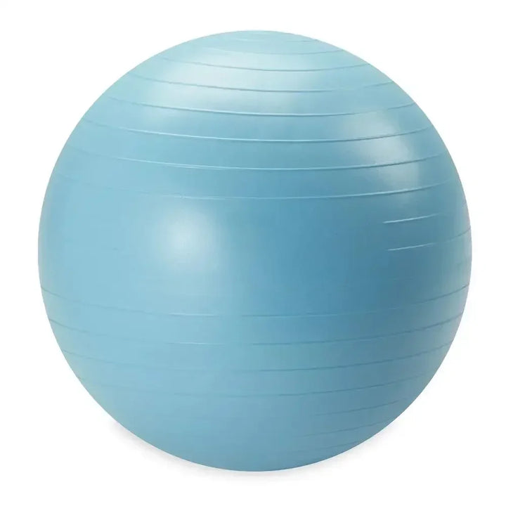 Weighted Stability Ball 55CM -75CM, Pump Included, yoga ball  exercise ball  balance ball