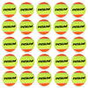 Beach Tennis Ball 2/6/16/25Pcs ITF Approved Stage 2 Sand Court Balls for Beach Tennis50% Low Compression for Beginners PET Dog