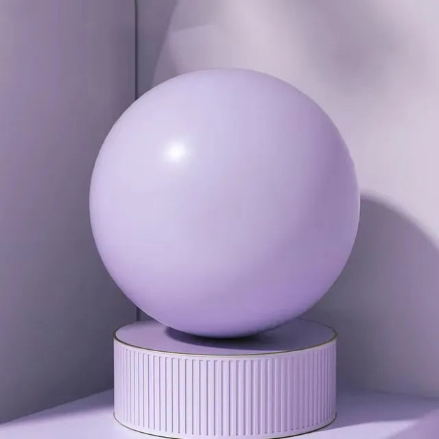 Women Gym Yoga Fitness Ball